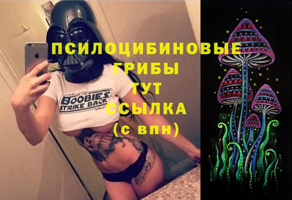 бутират Медвежьегорск