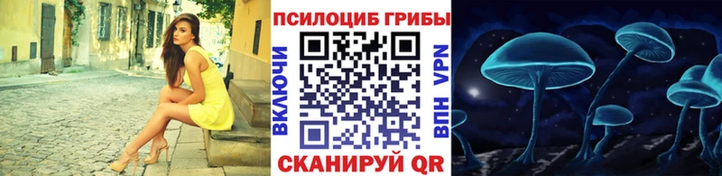 Купить закладки  Кодинск  Псилоцибиновые грибы GOLDEN TEACHER 