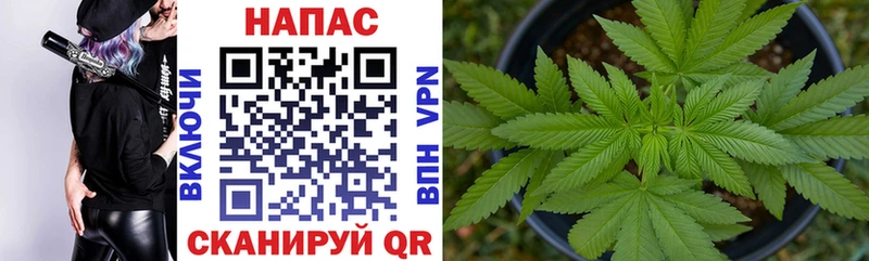 Купить закладки  Кодинск  Каннабис гибрид 